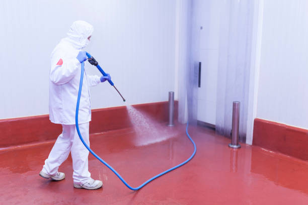 Best Winterizing Services  in Rouse, CA